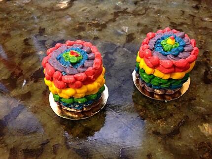 Rainbow Cake de V&eacute;ronique Et La Chouquetterie
