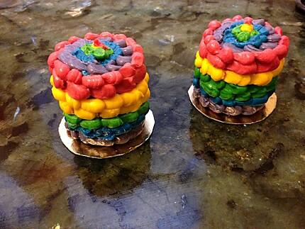 Rainbow Cake de V&eacute;ronique Et La Chouquetterie