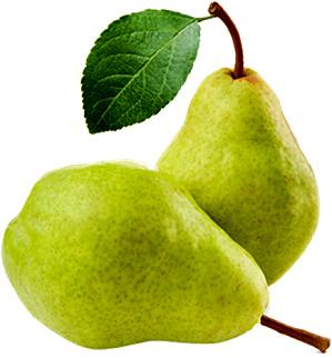 poire-Williams---2-fruits-verts.png