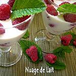 recette Entremet léger aux Framboises