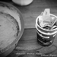 recette Gâteau au yaourt aux chocolats (mamie Nova)