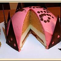 recette Entremet Abricot - Vanille