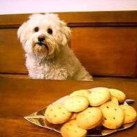 recette Petits biscuits boutons !!