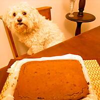 recette BROWNIE AU CHOCOLAT DE PACÔME