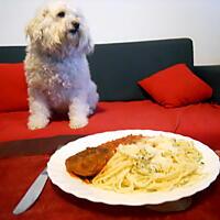 recette HACHE DE VEAU AU PARMESAN