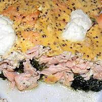 recette Gratin saumon épinards ricotta (compatible dukan)