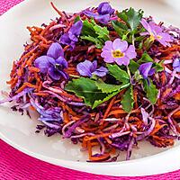 recette Salade de chou rouge, radis noir et carottes