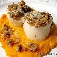 recette St Jacques en croûte de noix de Pécan, purée de butternut au gingembre