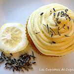 recette Cupcakes 'Lemon & Lavender Flowers' - Citron & Fleurs de Lavande