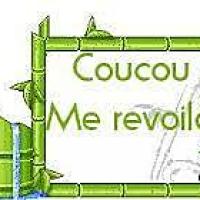 recette Coucou me revoilà