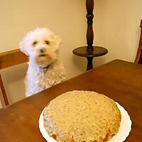 recette GÂTEAU GRENOBLOIS