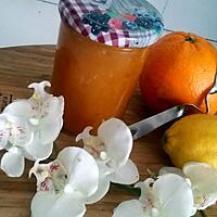 recette Confiture d'orange- citron au vin