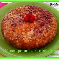 recette GÂTEAU AUX POMMES/FRAMBOISES au COOKEO