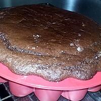 recette Gâteau au cacao et au chocolat sans oeufs