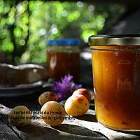 recette CONFITURE DE MIRABELLES AU GINGEMBRE