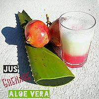 recette Se désaltérer : Jus Detox Aloe Vera Grenade (Thermomix ou pas)