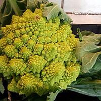 recette Bouquets de chou romanesco et sa sauce