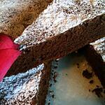 recette MOELLEUX  AU  CHOCOLAT