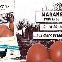 recette OEUFS DE POULES DE MARANS