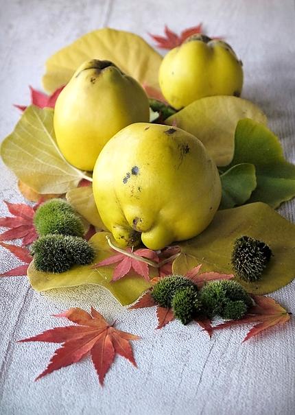 AAa Pâtes Coing et Gelée de Coings