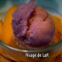 recette SORBET  PORTO