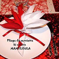 recette Pliage de serviette palmier bi colore (rouge et blanc)