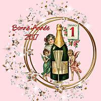 recette BONNE ANNÉE 2017 !