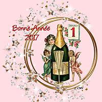 recette BONNE ANNÉE 2017 !