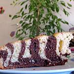recette GATEAU TIGRE ( OU ZEBRE ) AU YAOURT D' AXEL