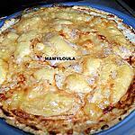 recette Tous les pâtes diverses (pates à pates, et autres pates), sandwichs, pizza, pains, crêpes, galettes, gaufres… jusqu’à ce jour