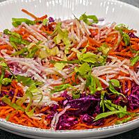 recette Salade de chou rouge, carotte et radis noir