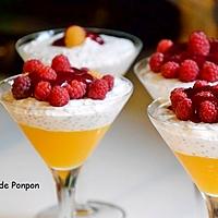 recette Graines de chia parfumées au lait de coco, mangue et framboises