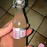 recette SIROP DE RHUBARBE.