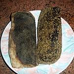 recette Magret de canard séché maison
