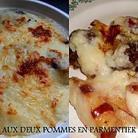 recette BOUDIN AUX DEUX POMMES EN PARMENTIER