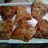recette Recette fond du frigo : brick à la carotte et à la viande hachée