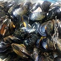 recette Moules au four