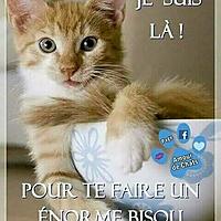 recette Bisous