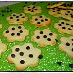 recette Sablés aux pépites de chocolat