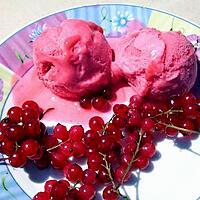 recette SORBET GROSEILLE