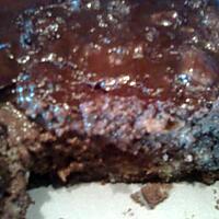 recette Pudding chocolat/noix de coco (excellent)