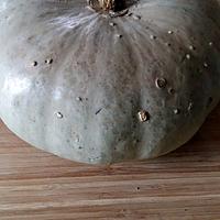 recette Courge bleu de Hongrie gratinée