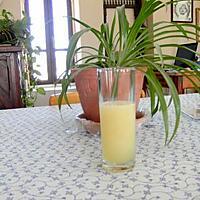 recette Citronnade comme en Tunisie