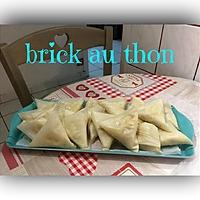 recette BRICK AU THON à L'ACTIFRY