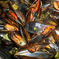 recette Moules d espagne au safran et romarin