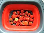 tartelette fraises sans cuisson et macaron (1)