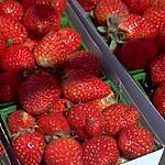 recette Confiture de fraises à la menthe du jardin