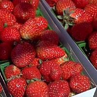 recette Confiture de fraises à la menthe du jardin