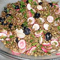 recette Salade de lentilles aux myrtilles et radis