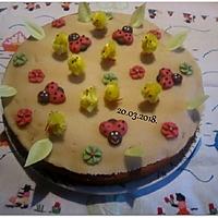 recette Gâteau mes amis aux pays fleuris.